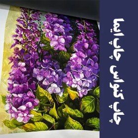 تصویر پلات رنگی کاغذ کنواس 