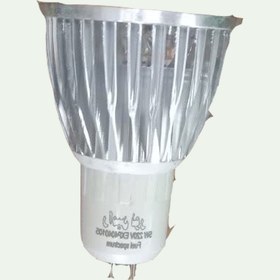 تصویر لامپ هالوژن رشد گیاه 5 وات رامین نور - A++ / 18ماعه 5 watt halogen plant growth lamp