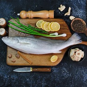 تصویر ماهی شوریده 