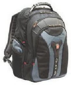 Swissgear pegasus 2025 laptop backpack