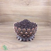 تصویر دانه اسپند(اسفند) خوش بو سید عطار 