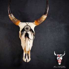 تصویر جمجمه گاو دریم کچر 