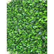 تصویر فنس برگی عرض ۱ 