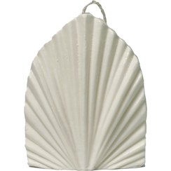 تصویر شمع نخل پالم 