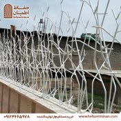 تصویر حفاظ شاخ گوزنی دیواری 