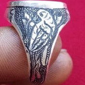 تصویر انگشتر نقره کد ۱۰۲۴۳ 