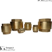 تصویر شیر یکطرفه یورک ایتالیا 