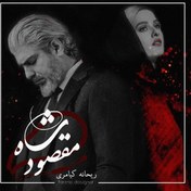 تصویر رمان شاه مقصود pdf 