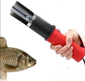 تصویر فلس گیر ( پولک گیر ) ماهی 