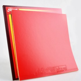 تصویر رویه GOLDARC 5 دی اچ اس 