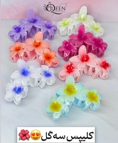 تصویر کلیپس ۳ گل 