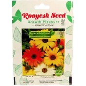 تصویر بذر گل آصف السلطنه 