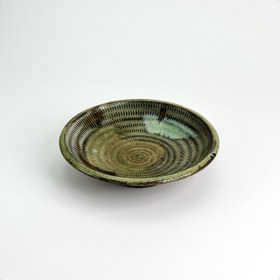 تصویر پلیت شیگاراکی 