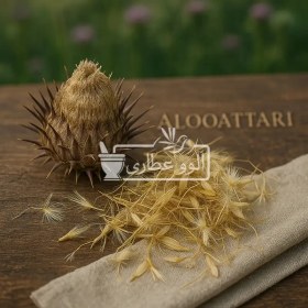 تصویر گیاه خار مریم 