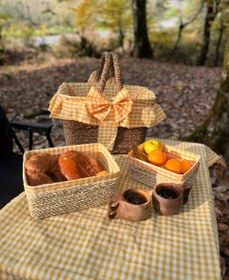 تصویر ست پیک نیک مدل پاییزی 