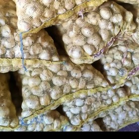 تصویر موسیر کوهی همدان کیلویی و تناژ 