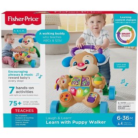 تصویر واکر پاپی آبی آموزشی Fisher Price 