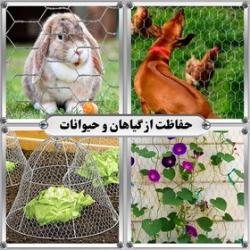 تصویر توری مدل مرغی کد 120 طول 10 متر 