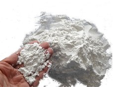 تصویر خاک دیاتومه 