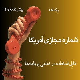 تصویر شماره مجازی یکماهه آمریکا 