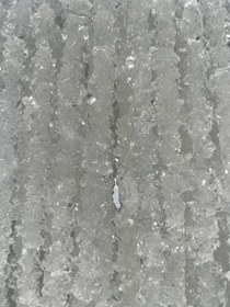 تصویر نبات شاخه سفید 