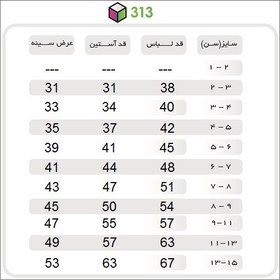 تصویر بلوز لیگو تور 