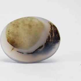 تصویر سنگ شجر کد 2294 