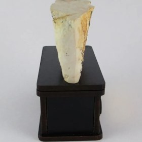 تصویر سنگ شجر فسیلی (دندریتی ) کد 2344 