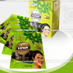 تصویر شامپو رنگ مو مشکی Black hair shampo Olive شامپو رنگمو مسافرتی مشکی 