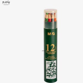 تصویر مداد رنگی ام اند جی مدل 6 وجهی پایه روغن 12 رنگ کد AWP34363 