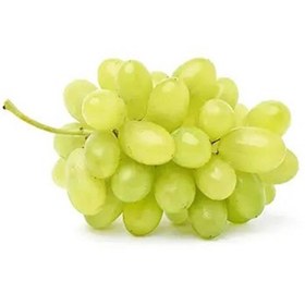 تصویر انگور عسکری 