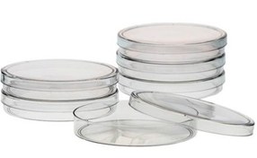 تصویر پلیت یکبار مصرف استریل با قطر 8 سانتی متر (پتری دیش) 