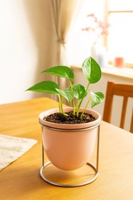 تصویر گلدان سرامیکی پایه‌فلزی 