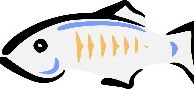 تصویر هاست پرسرعت اختصاصی گلسفیش ا Host GlassFish Host GlassFish