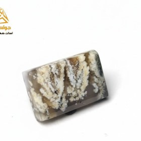 تصویر نگین شجر زمستانی (کد۷۸) 