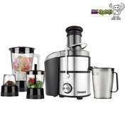 تصویر آبمیوه گیری ۴ کاره دسینی مدل DS222 ظرفیت ۱.۱ لیتر 