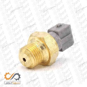 تصویر فشنگی روغنی 405 NEEPS 