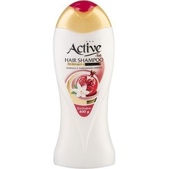 تصویر شامپو نچرال برای موهای رنگ شده و آسیب دیده 400 گرمی اکتیو ا Active Natural Shampoo For Damaged And Colored Hair 400g Active Natural Shampoo For Damaged And Colored Hair 400g