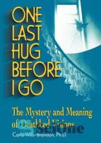 تصویر دانلود کتاب One Last Hug Before I Go: The Mystery and Meaning of Deathbed Visions - آخرین آغوش قبل از رفتن: رمز و راز و معنای رؤیاهای بستر مرگ 