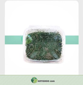 تصویر شوید خشک | نظری 