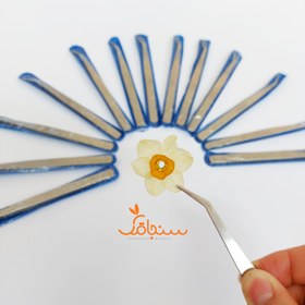 تصویر پنس استیل گل خشک 