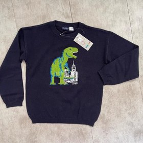 تصویر بافت دایناسور 