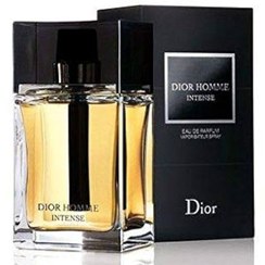 تصویر عطر ادکلن دیور دیور هوم (اوم) اینتنس 2007 ادوپرفیوم مردانه Dior Dior Homme Intense 2007 for Men EDP 