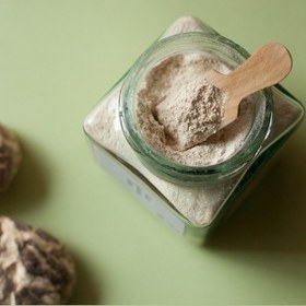 تصویر قارچ دارویی شیتاکی 