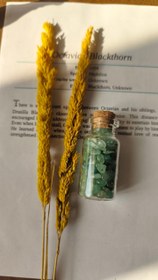 تصویر شیشه سنگ آونتورین سبز چیپسی سوراخ دار اصل طبیعی 