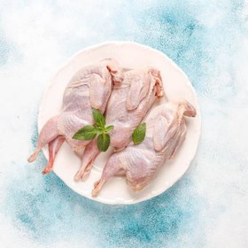 تصویر گوشت بلدرچین بسته ۵ عددی 