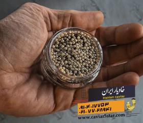 تصویر خاویار سوروگا 