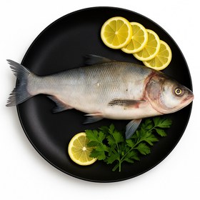 تصویر ماهی آزاد دزفول 