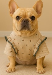 تصویر لباس سگ دخترانه گل‌دار 