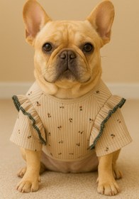 تصویر لباس سگ دخترانه گل‌دار 